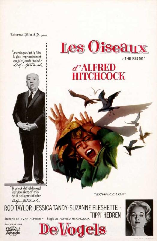 xl_3334-affiche-film-alfred-hitchcock-les-oiseaux